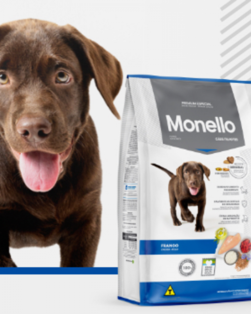 Monello Cachorro