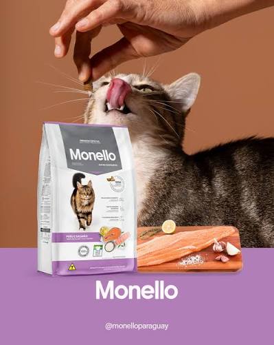 Monello Gato Castrado