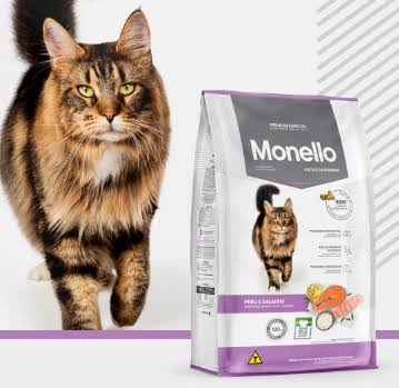 Monello Gato Castrado